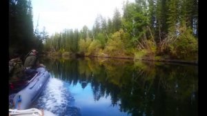 Отличный  клев ХАРИУСА в  ТУВЕ на реке Балыктыг-Хем