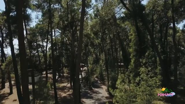 Отель Апсара - семейный тур в Абхазию смотреть онлайн