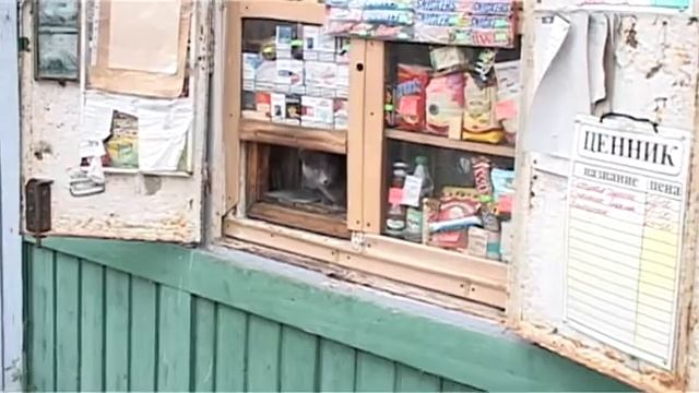 Кот-продавец (Ленинградская область) смотреть онлайн