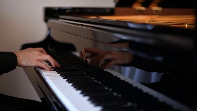 Rachmaninov Étude Tableaux Op.39 No.1 in C minor | Bechstein D282 Concert Grand Piano