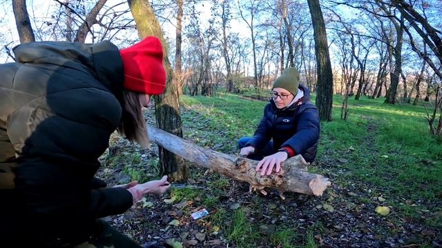 Пила-струна GrandWay VS DROVA смотреть онлайн