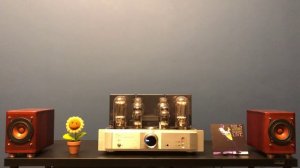 Cayin A845 (CS845) & JVC SP-EXA1 Test #1