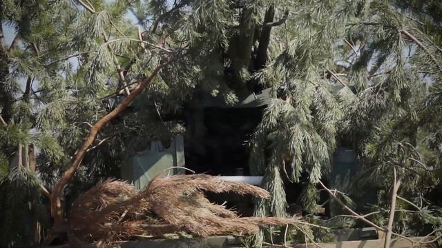 Зенітно ракетний взвод на батальйонно тактичних навчаннях смотреть онлайн