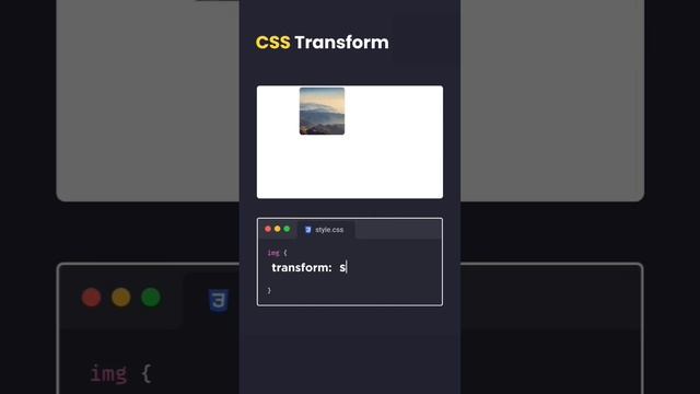 CSS Transform Property | CSS Transform Property Explained With Animation