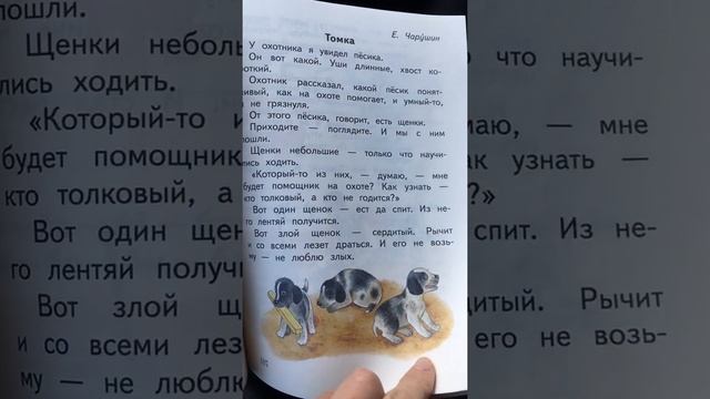 Чарушин/Томка смотреть онлайн