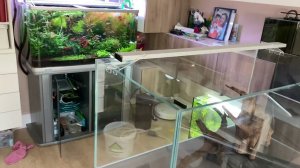 Переезд аквариума