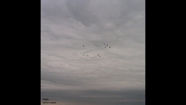 Flight [Electronic Jazz Fusion] смотреть онлайн