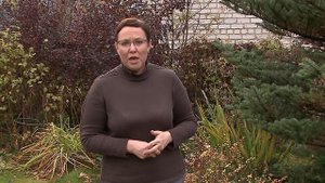Осенние удобрения для почвы. Советы специалиста.