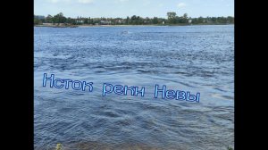 Исток реки Невы из Ладожского озера #МестаСоединения #Озеро #Нева