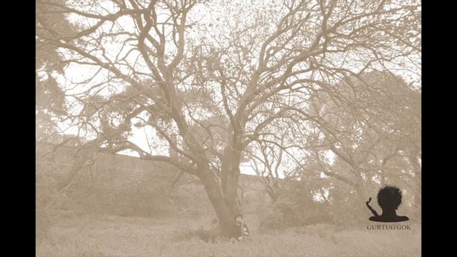 Ferling Etude No. 38 - Gürtuğ Gök смотреть онлайн