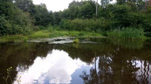 ✅?ВЗОРВАЛИ ПЕТАРДЫ НА ГЛУБИНЕ |ТЕСТ ПЕТАРД ПОД ВОДОЙ | ВЗРЫВАЕМ БОЛОТО |Эксперимент: Петарды + Озер
