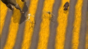 Animals and Horrors Race 2 | Animal vs Horror [S2] | SPORE