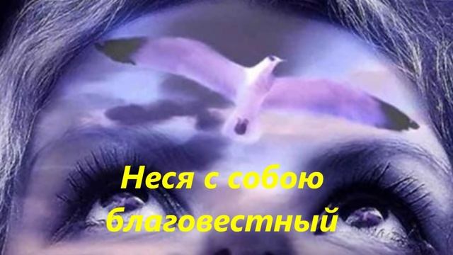 Когда дороги наши разойдутся... Мила Григ