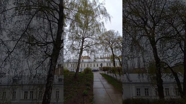 Tereshchenkivska Street, Kyiv, Ukraine. 20.april.2023. Rainy day. Green Chestnut Trees & Lilacs.