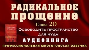 Аудиокнига Радикальное Прощение. Глава 20. Освободить пространство для чуда