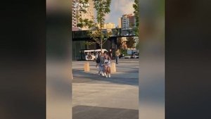 Танец с Мадагаскара (подборка из Tik tok)