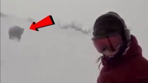 ПОБЕГ ОТ МЕДВЕДЯ ЛЮДОЕДА НА СНОУБОРДЕ