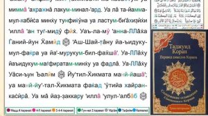 Поучительное чтение страницы Корана № (45 )