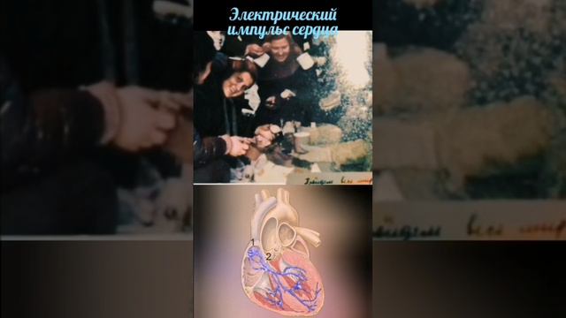 Признаки удара молнией Зину Колмогорову 3