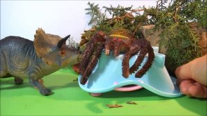 БЕШЕНАЯ ВАННАЯ.  Динозавры, пауки, змеи. Мультики для детей