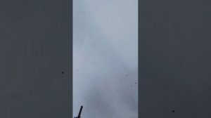 Серпастые голуби Олега Разливанова, +7 927 291-99-00 г.Самара. Канал Олег Костяков.