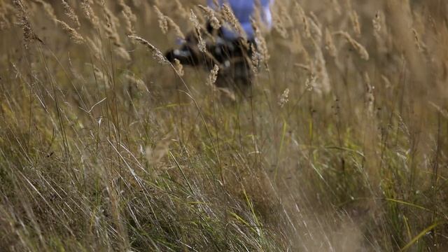 Amika «Впусти меня» смотреть онлайн