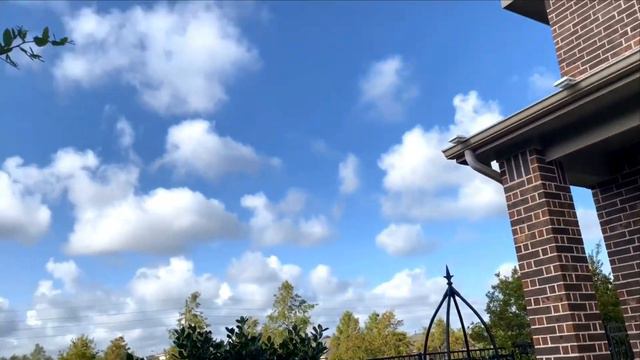 Garden Tour - How Im Surviving the Heat Wave