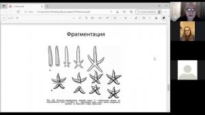Признаки живого.mp4