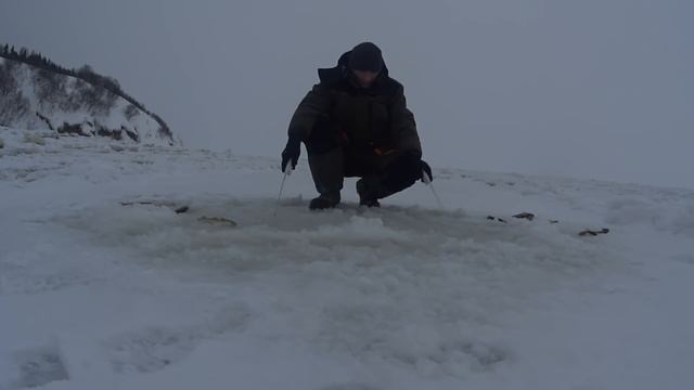 Зимняя рыбалка на море, горы наваги. Бешеный клёв!
