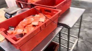 Порционер CUT28 для красной рыбы от компании Hiwell Китай в работе