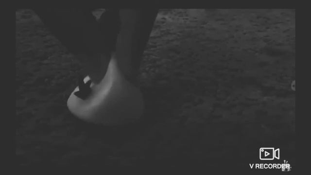 angry birds fantastic adventures love triangle arc amv смотреть онлайн