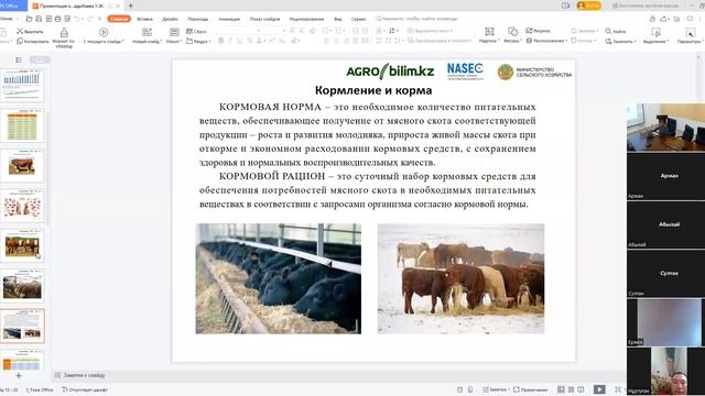 Доращивание, нагул и откорм молодняка крупного рогатого скота на мясо смотреть онлайн