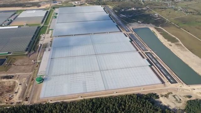 Строительство голландских, высокотехнологичных, гидропонных теплиц.