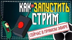 Как стримить на Ютубе через ОБС