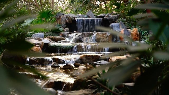 Исцеляющие звуки ручья и пение птиц / релакс видео / нейтрализация негативных эмоций / крепкий сон смотреть онлайн