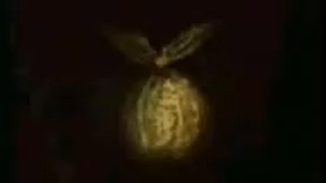 yozhik v kumare смотреть онлайн