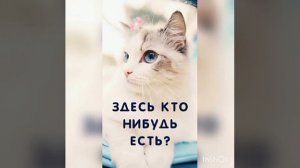 Дима Масленников-Здесь кто нибудь есть?