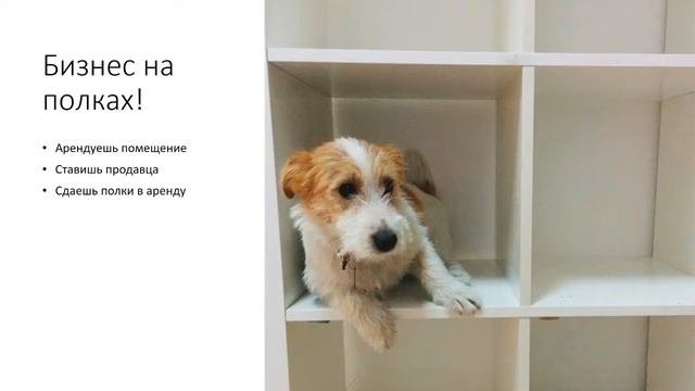 Идеи для бизнеса с минимальными вложениями (часть 2). Бизнес идеи которых нет в России