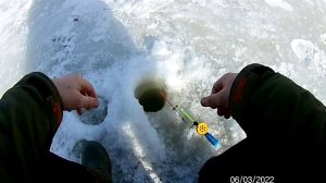 Рыбалка в Тверской области река Вазуза