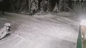 Волк напал на собаку.. Собака спасла жизнь мальчику.