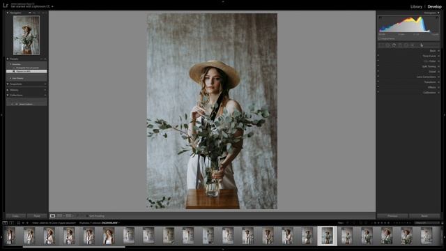Обработка с коричневой тонировкой в LIGHTROOM+пресет