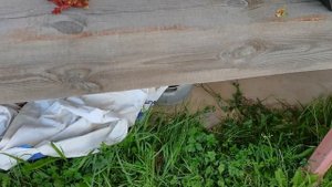 Обзор и тест аккумуляторного китайского триммера