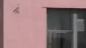 станция Данков