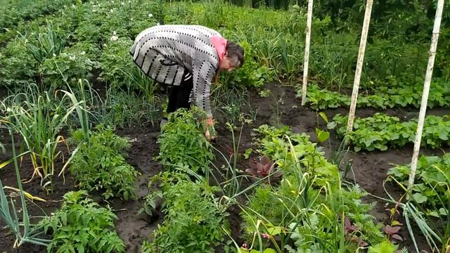 Подивіться на цю Олю , сама не сидить і іншим не дає.
