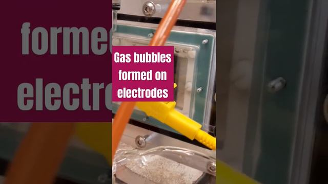 Electrolysis of seawater, please Subscribe #physics #physics #chemistry #education #electrolysis смотреть онлайн