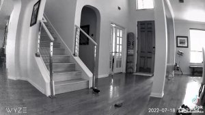 Уволили.(Робот пылесос).....???