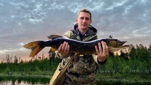 СЕВЕРНАЯ КАРЕЛИЯ / Речка по колено, полна щук и окуней / Рыбалка на спиннинг в глухой тайге