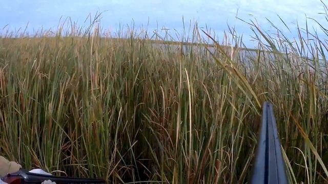 Охота на утку с чучелами и манком.,  Осень 2018