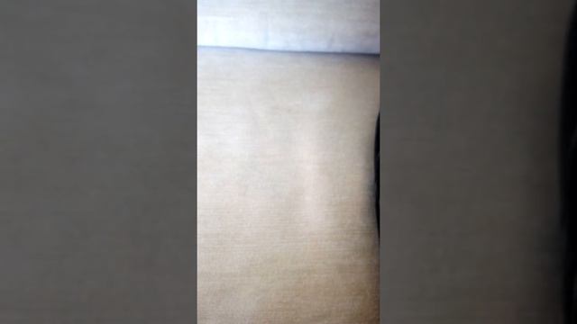 Микрофон + меняет голос. смотреть онлайн