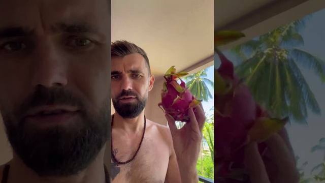 Драконий фрукт или питахайя (Hylocereus undatus)